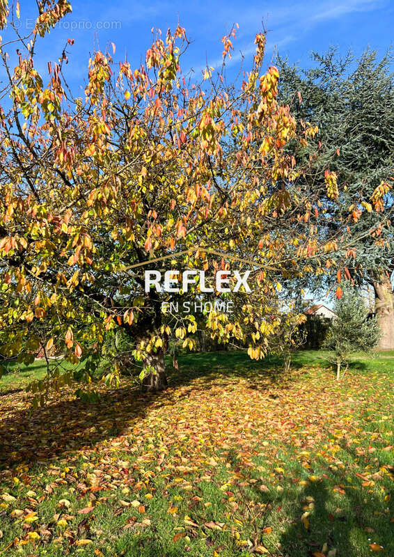 Maison à MAILLY-MAILLET