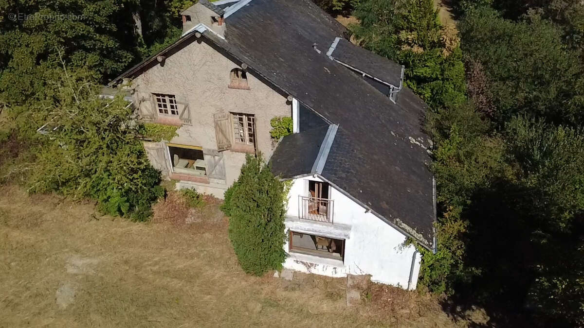 Bellerive sur allier, maison d'architecte avec travaux dans un parc arbore de 3 800 m2 - photo 2