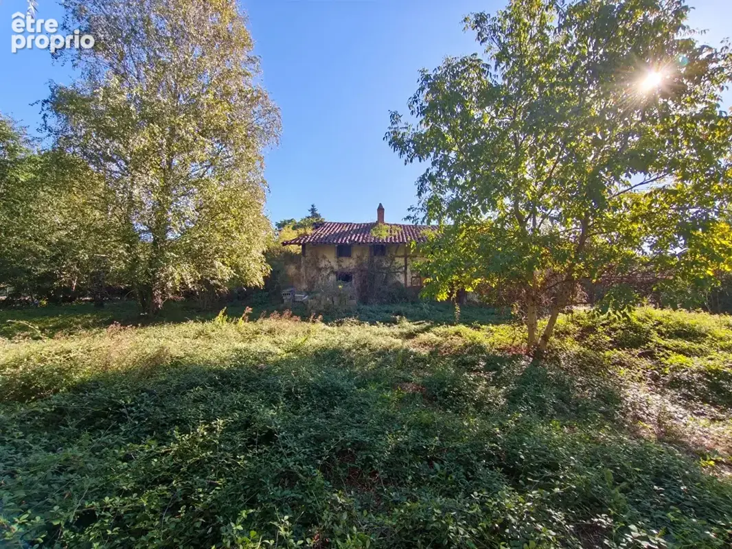 Ensemble immobilier - Polliat / St Denis les Bourg / Bourg en Bresse - photo 2