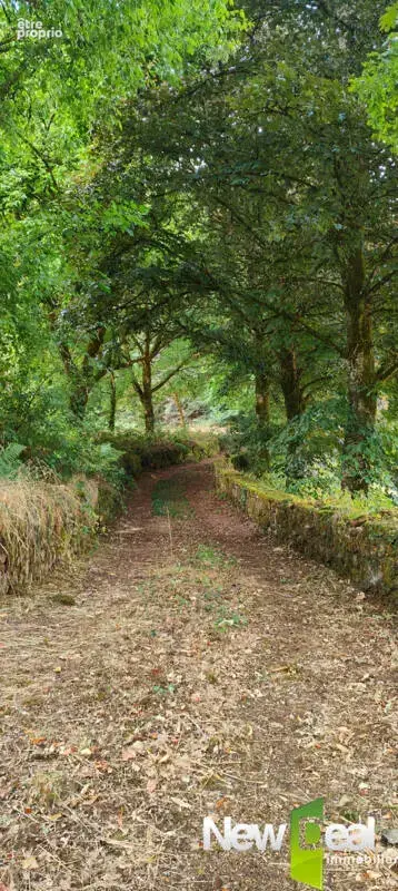 Exceptionnel Domaine sur 9ha en bordure d'étang - photo 29