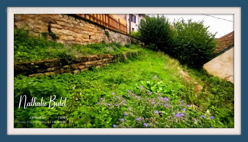 Appartement à PLOMBIERES-LES-BAINS