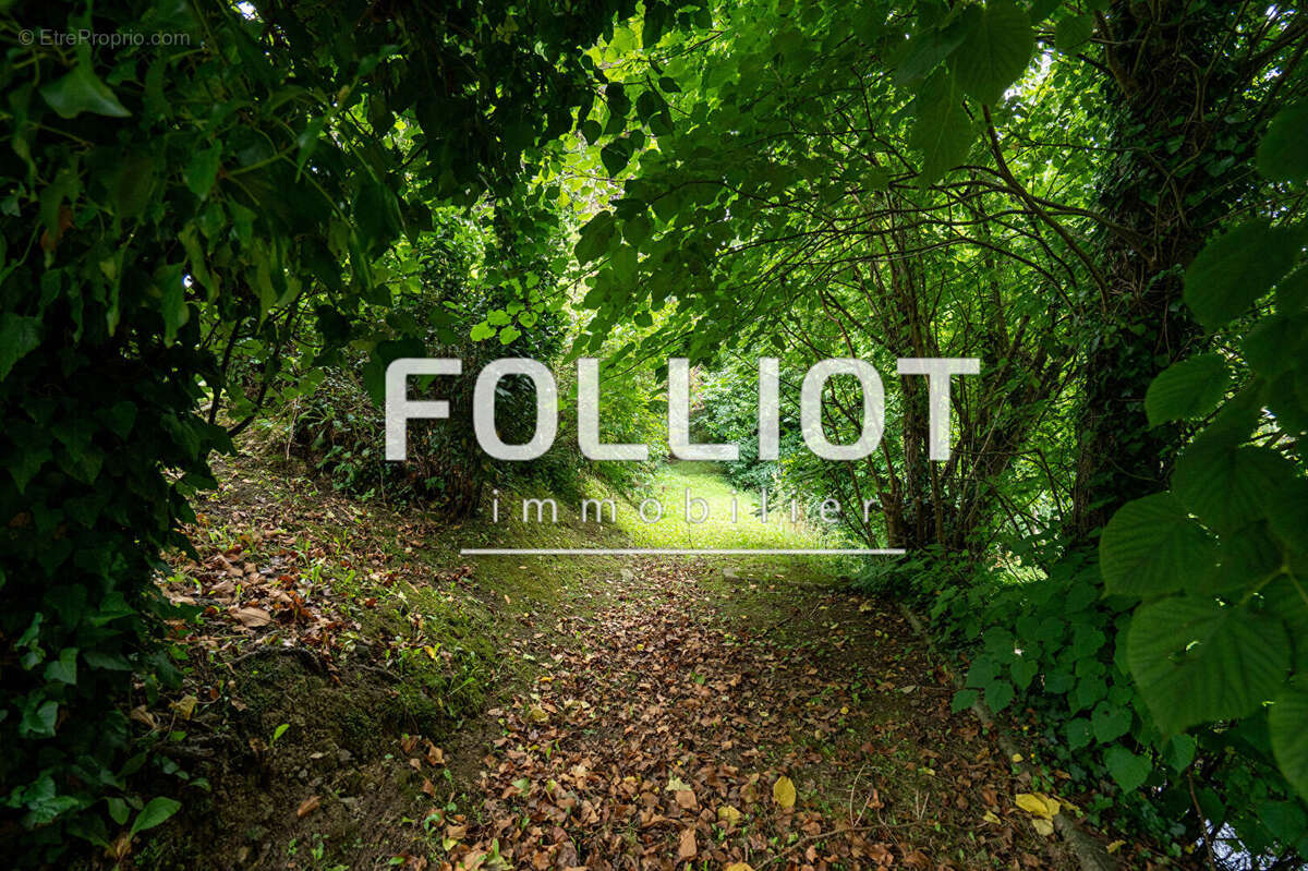 Maison à LA HAYE-DU-PUITS