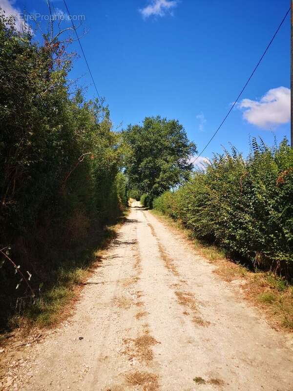TRÈS RARE - Aux abords de la ville de Vic-Fezensac (2kms par un chemin sans passage), maison lumineuse en pierre de plain-pied c - photo 6