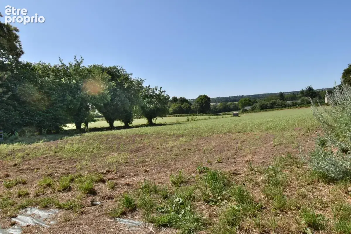 Prix réajusté! Propriété de 1,5 hectares avec ancienne chaumière et maison de 110m² - photo 12