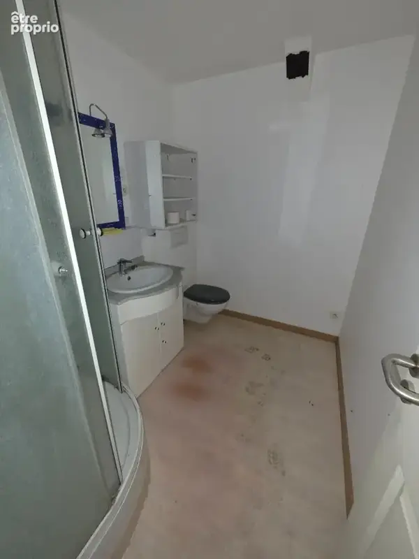 Immeuble Saint Avold 5 pièce(s) 260 m2 - photo 14