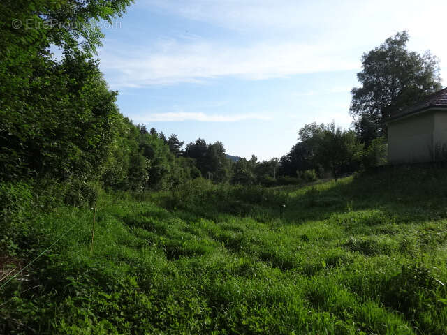 Terrain à SAINT-GENES-CHAMPANELLE