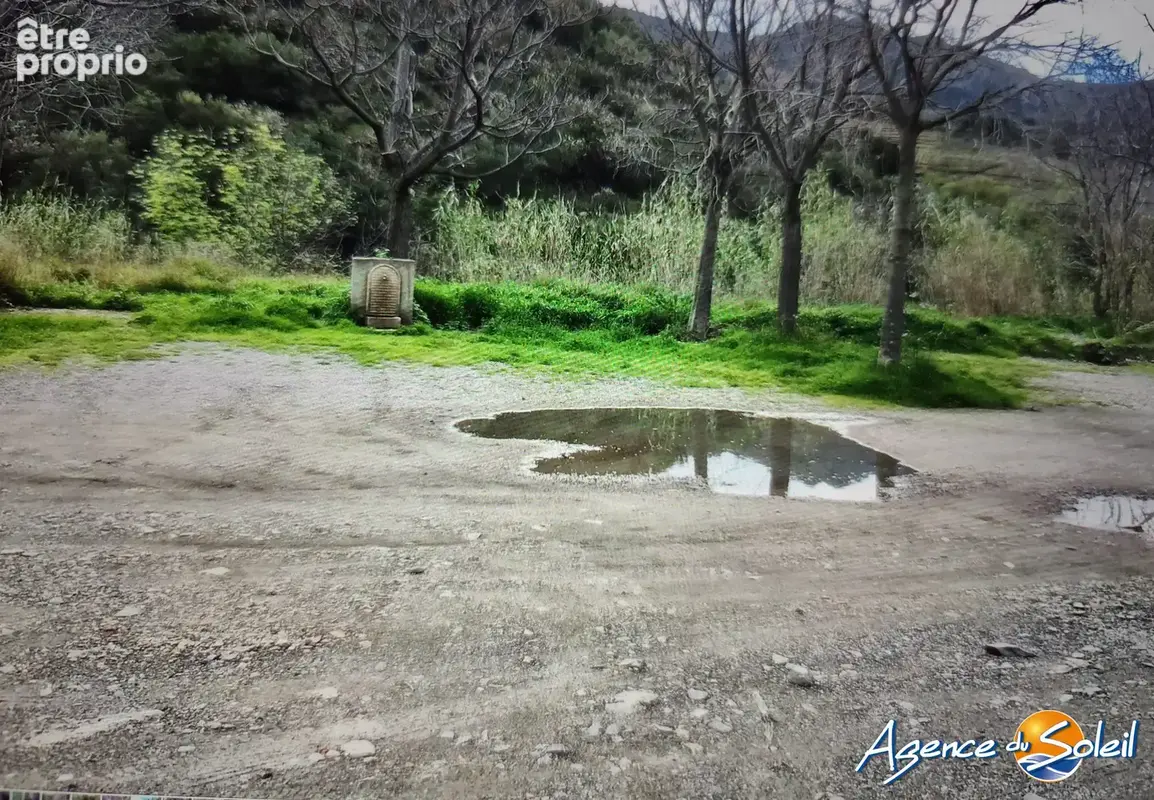 Terrain 4 000 m² à vendre à Banyuls-Sur-Mer (66650) - photo 4