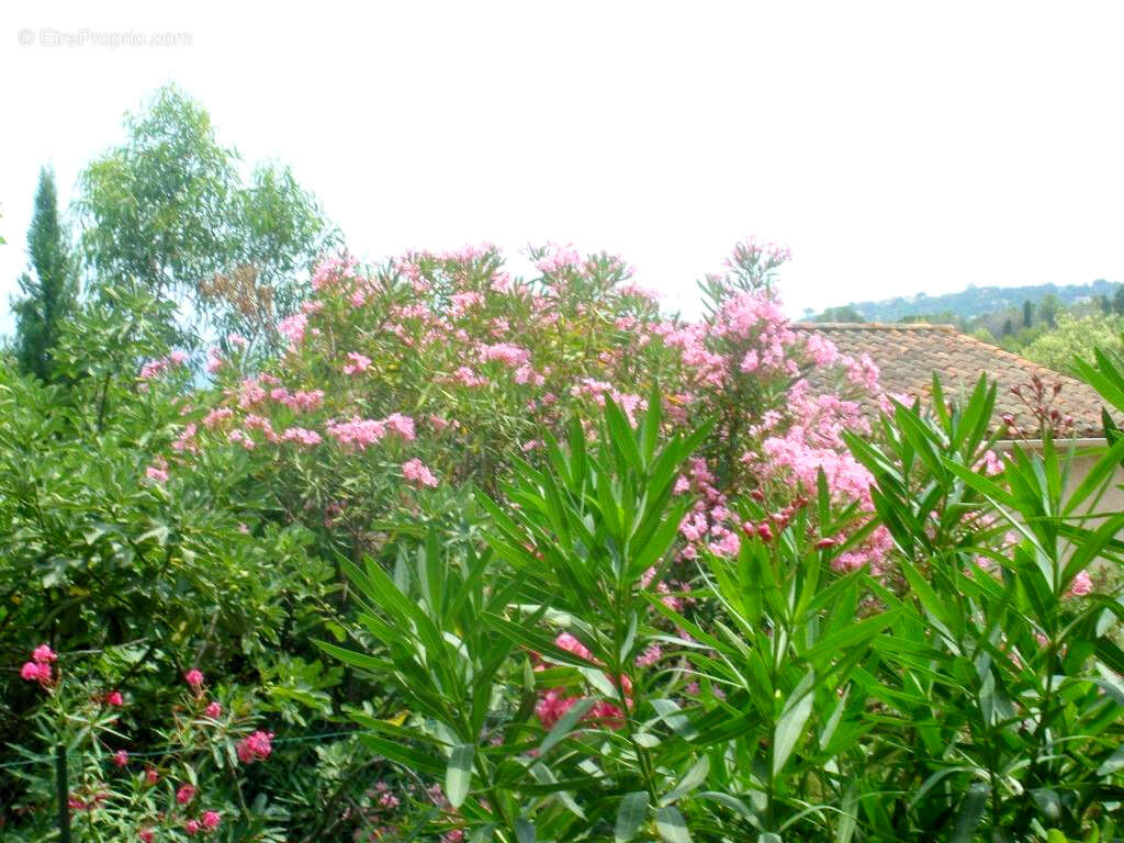 Appartement à SAINTE-MAXIME