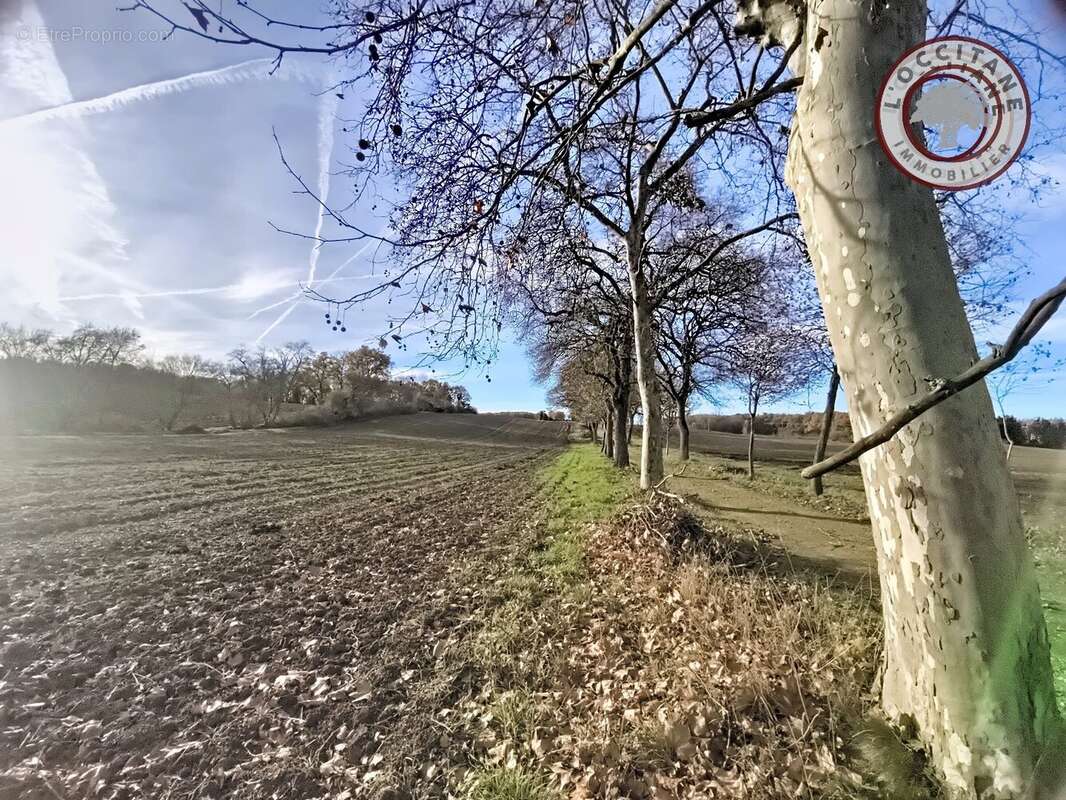 Terrain à MAUVEZIN