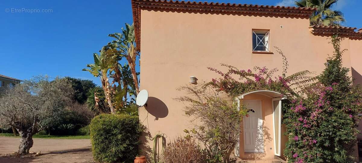 Maison à PIETROSELLA