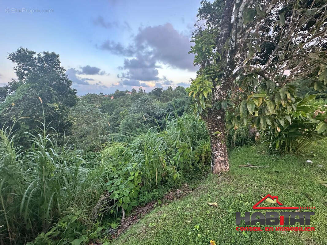 Maison à LE LORRAIN