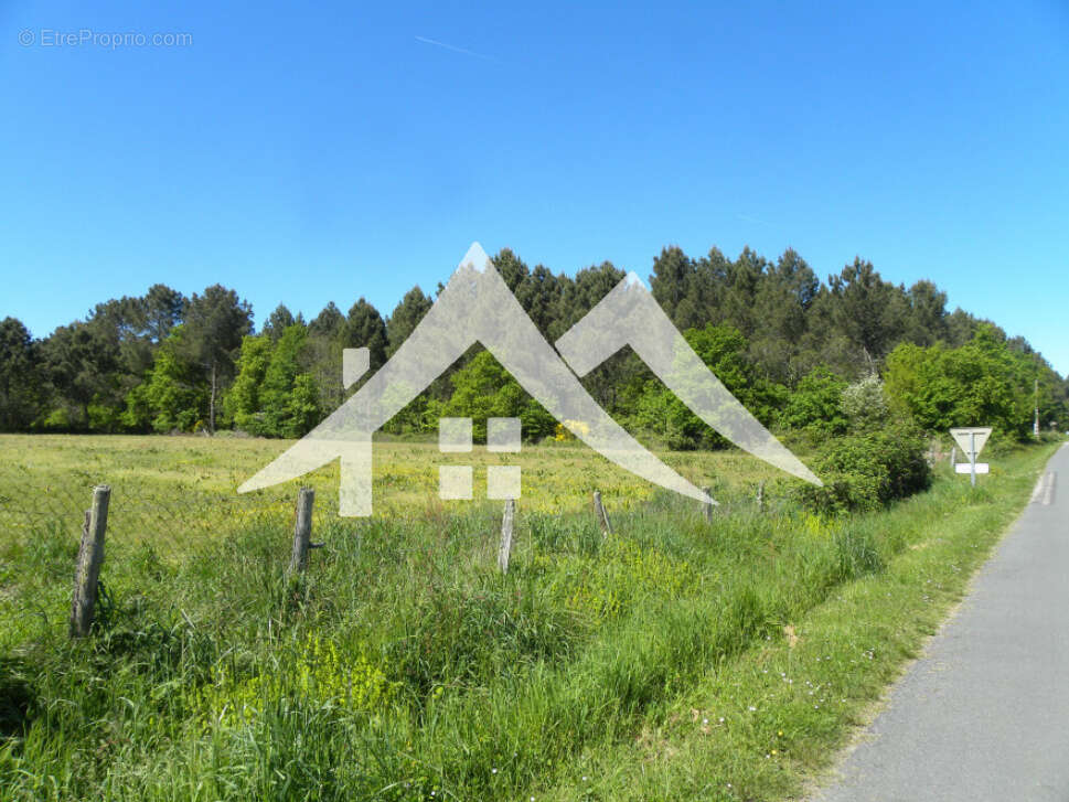 Terrain à SAINT-MARTIN-CURTON