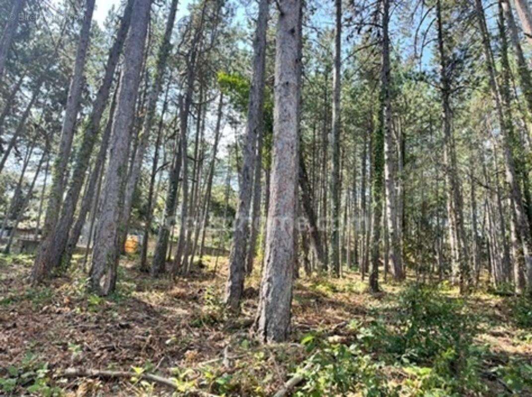 Terrain à vendre de 3 577,00 m² BOURG SAINT ANDEOL (07) - photo 2