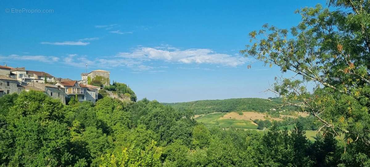 A vendre avec l'Agence Immobilière Le Pic du Quercy - photo 4