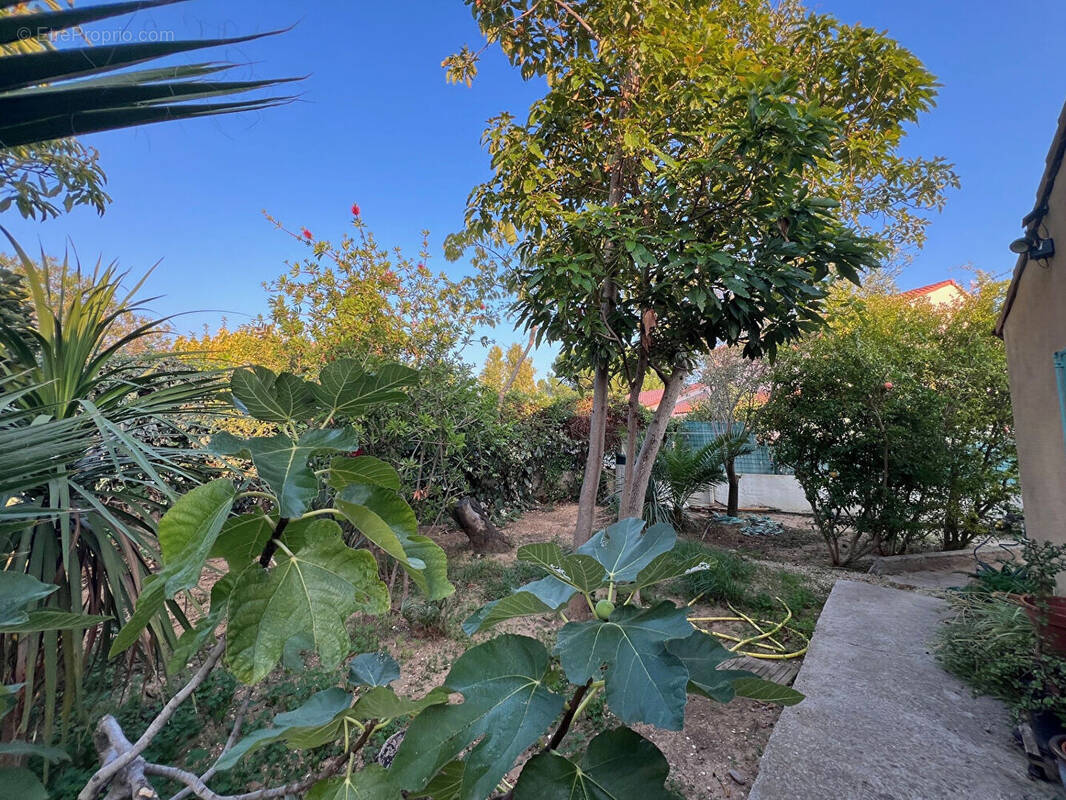 Maison à LA LONDE-LES-MAURES