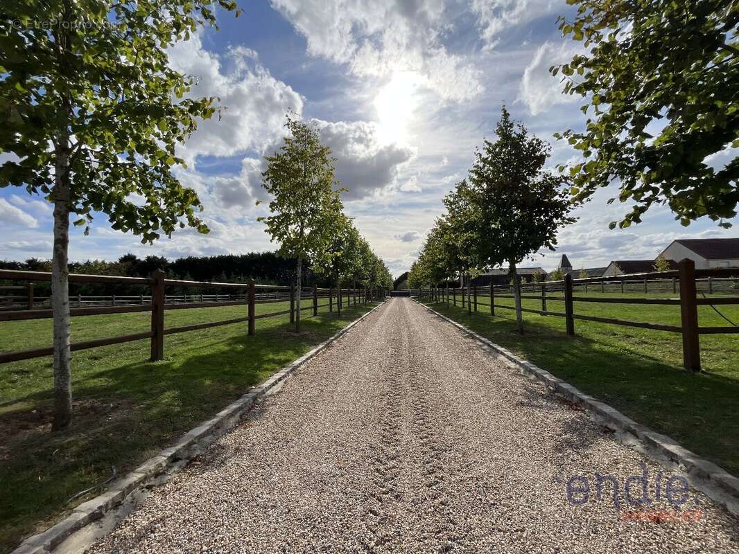 Domaine équestre d'exception avec habitation - photo 21
