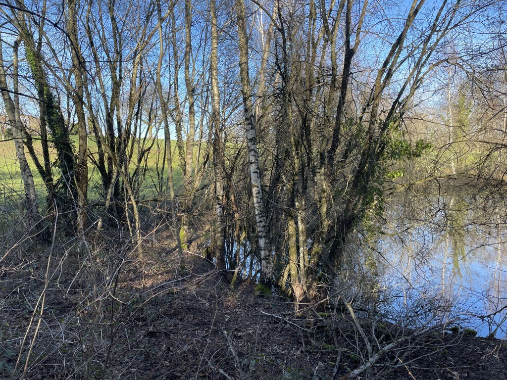 Concèze, proche du bourg, étang 2000 m2 aux normes - photo 6