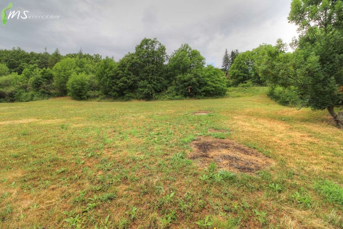 Terrain à LA FREISSINOUSE