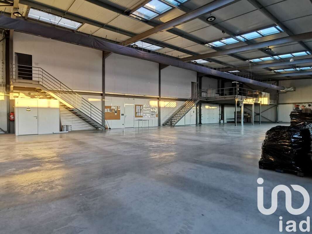 Photo 6 - Appartement à GAILLAC