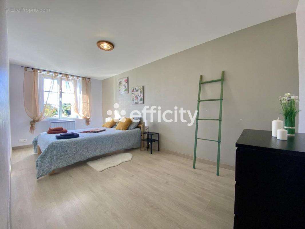 Maison 272 m² à Hommes  - photo 12