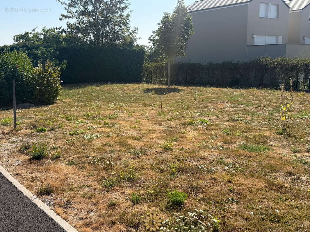 Terrain à bâtir  - 561 m2 à Witry les Reims - photo 4