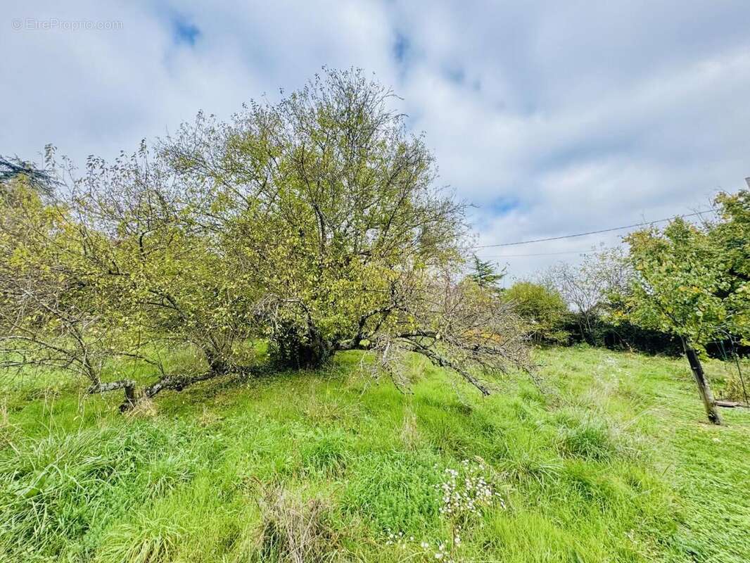 parcelle bas (1) - Terrain à SAINT-JULIEN-EN-GENEVOIS