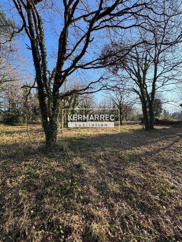 Terrain à LA TURBALLE