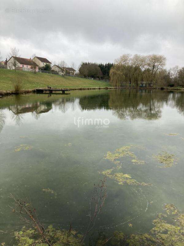Terrain de loisir avec étang de pêche et roulotte - photo 4