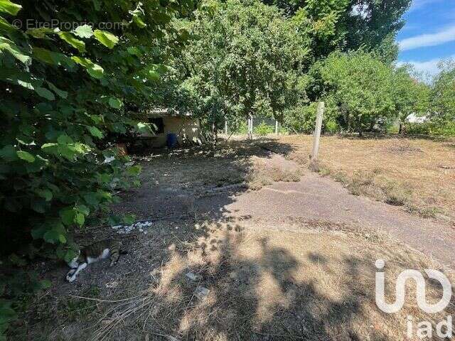 Photo 2 - Terrain à SAINT-FARGEAU-PONTHIERRY