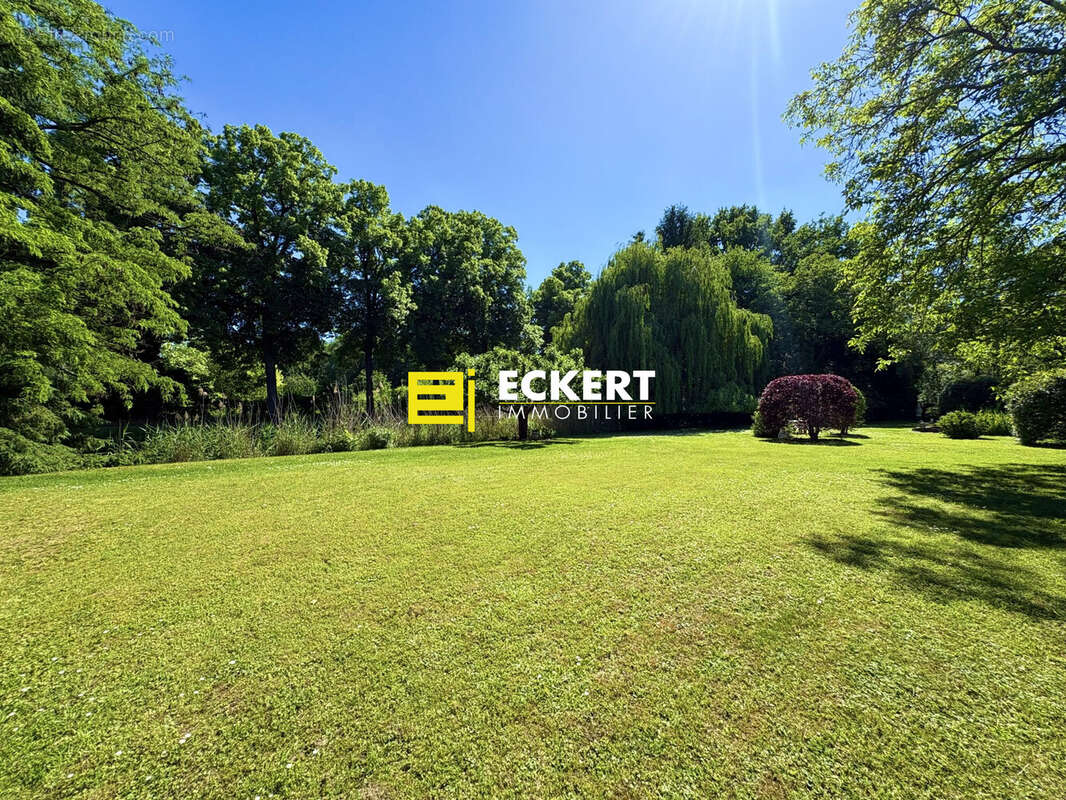 Terrain 1500 m² à Wolxheim  - photo 3