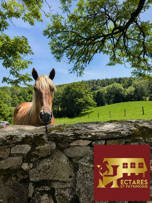 Domaine de caractère et activité touristique au coeur du haut-quercy - photo 4