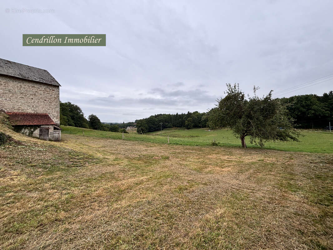 Maison à SAINT-PRIEST-PALUS