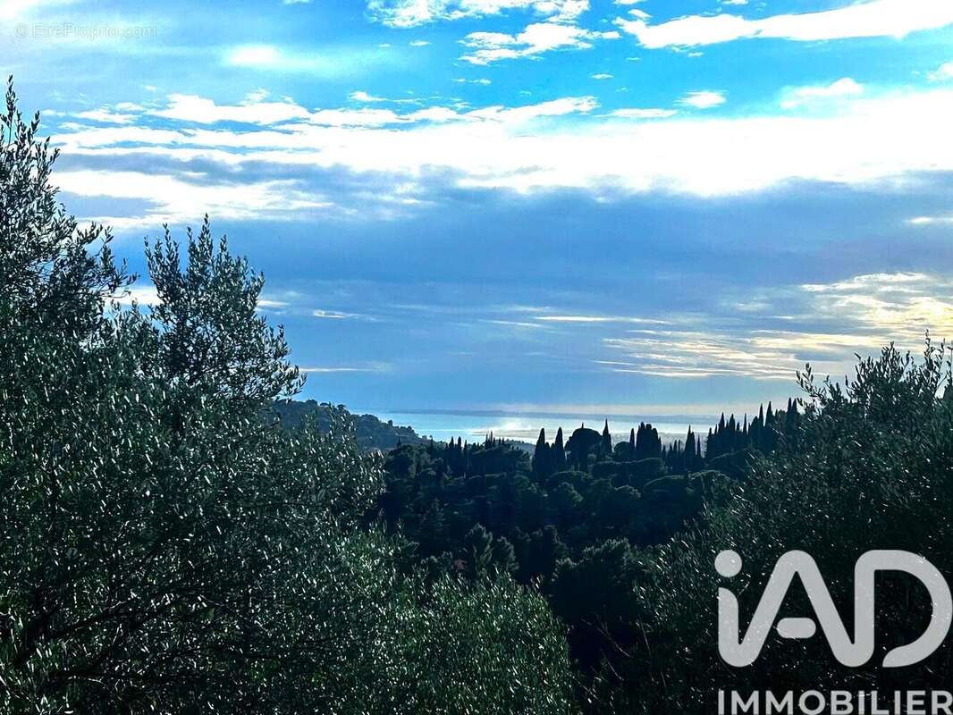 Photo 9 - Maison à NICE