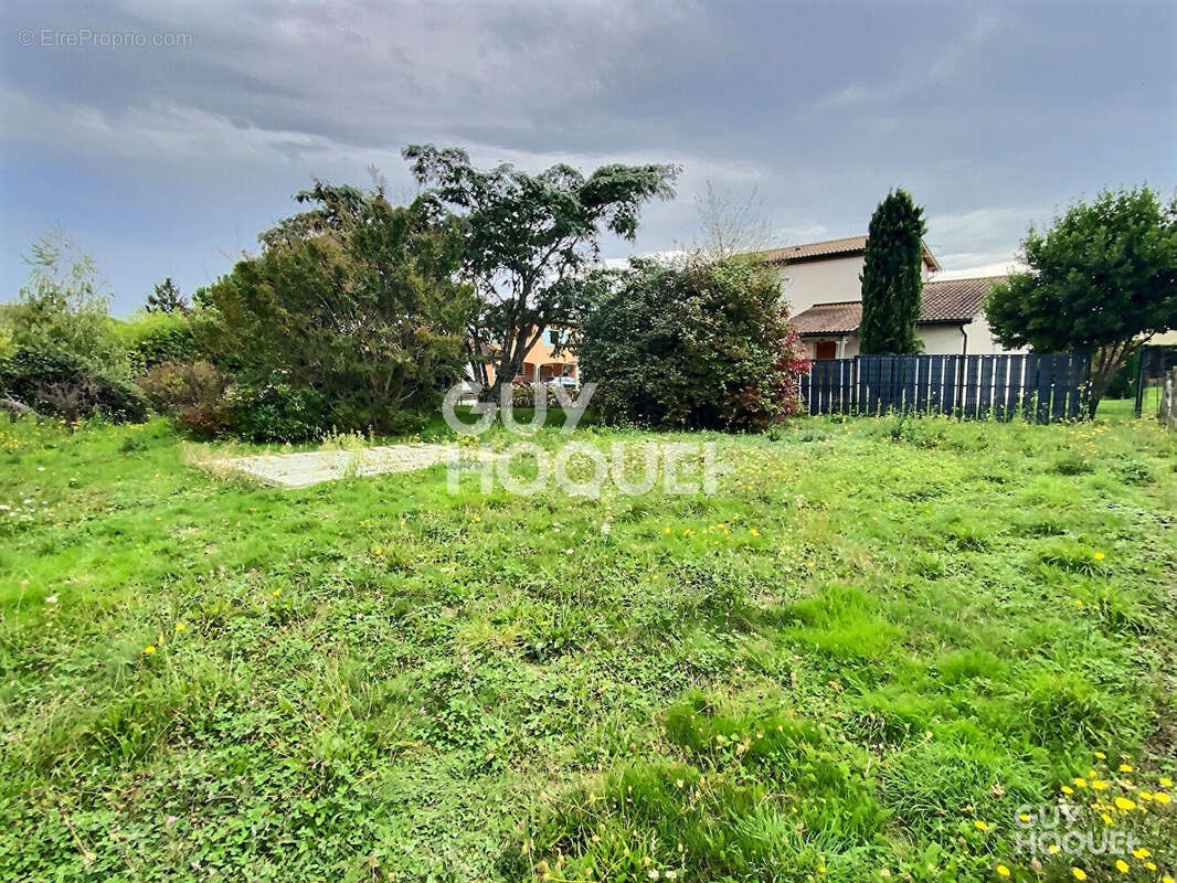 Terrain à SAINT-LAURENT-DE-MURE