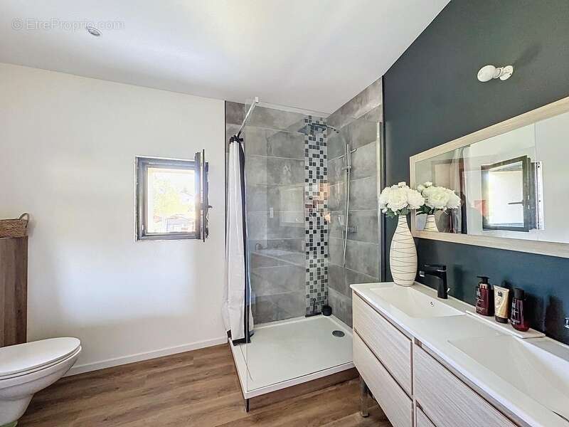 Maison à vendre 10 pièces MONTCARRA (38) - photo 10