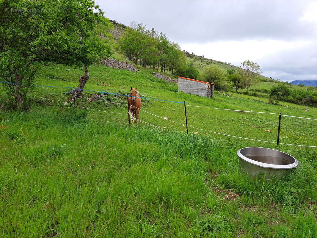Maison avec vue dégagée et exposition plein SUD, potager et garage non attenants - photo 31