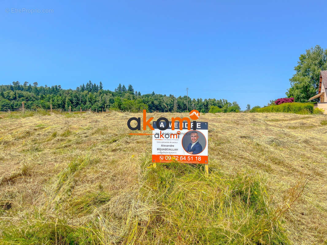 Terrain à LACHAPELLE