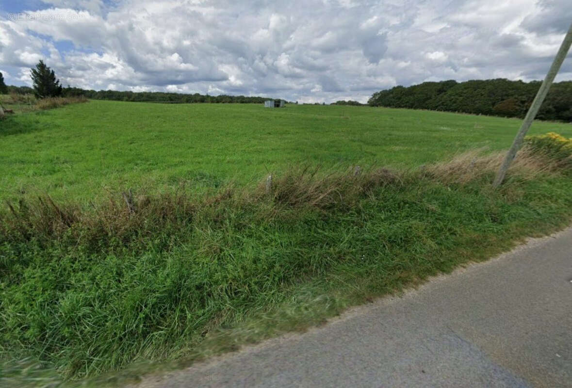 Terrain à CERISIERS