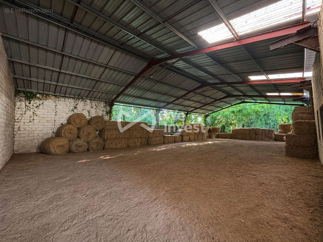 Maison 202 m² à Montauban  - photo 8