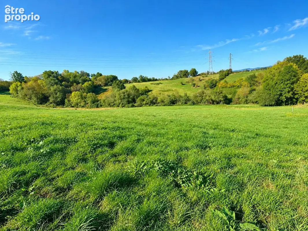 Terrain 4 560 m² à vendre à Ussac (19270) - photo 4