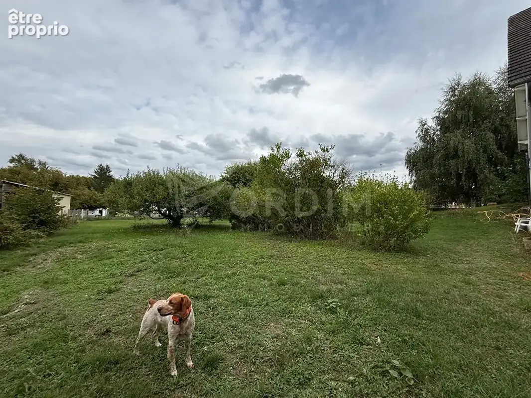 Pavillon sur sous-sol  total  202 m² habitables terrain 2542 m². - photo 4