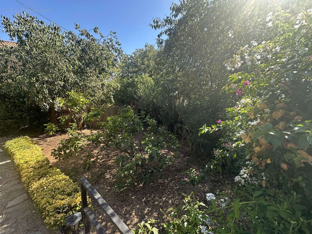 secteur RESIDENTIEL RECHERCHE BAS FARON - CALME - sur  390 m2 hab 72 m2 + grand sous-sol + grenier - photo 7