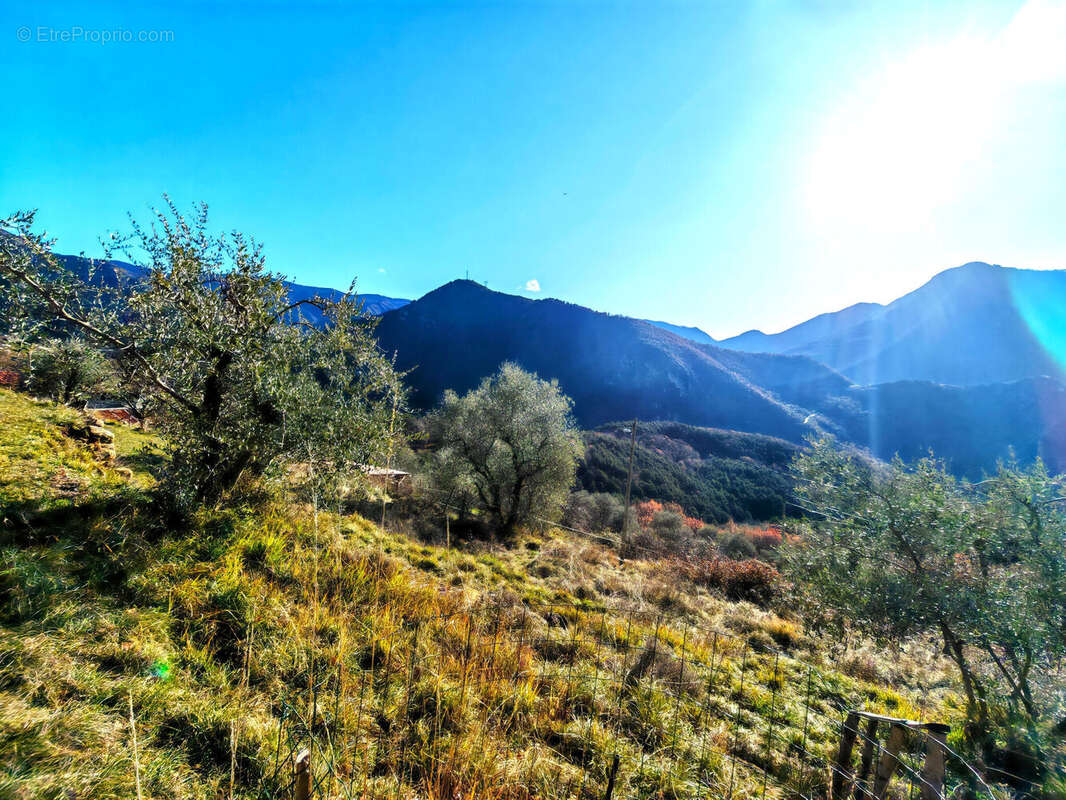 Photo 4 - Autre à LANTOSQUE