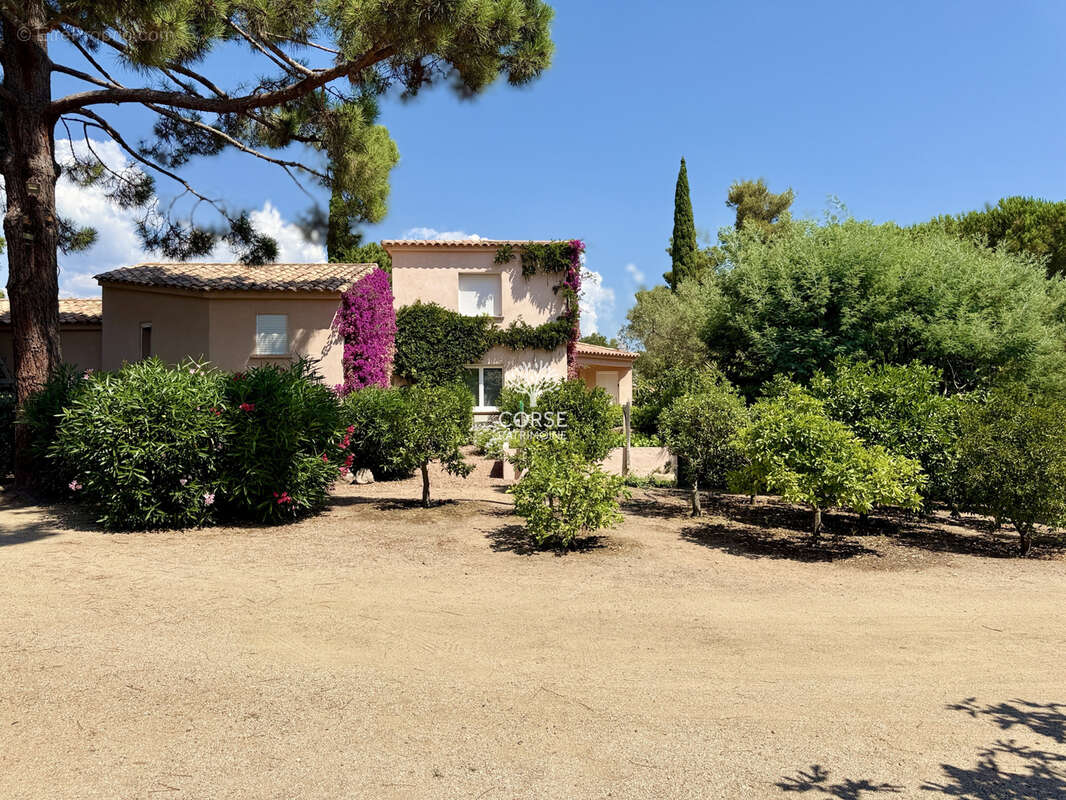 Maison à LECCI