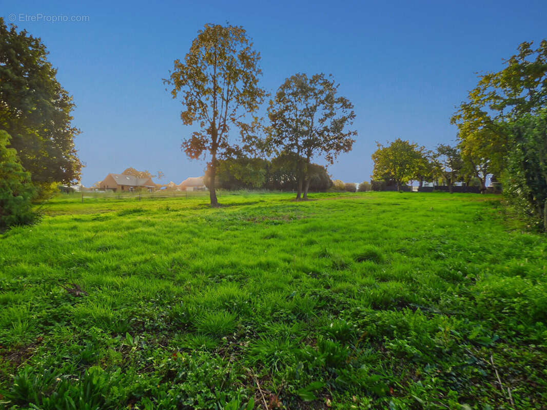 Terrain à DOL-DE-BRETAGNE
