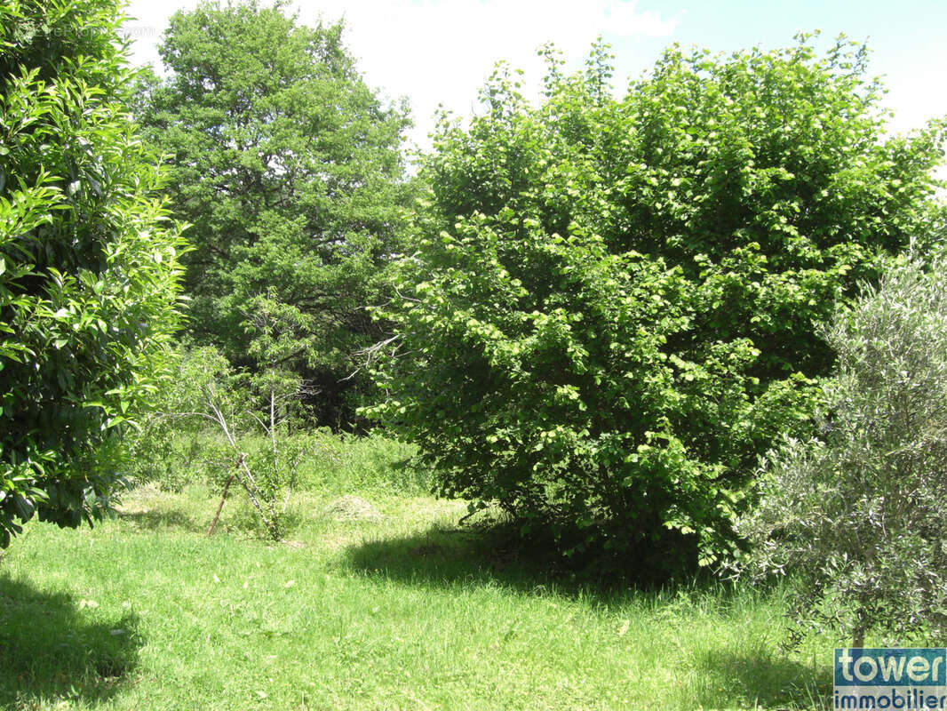 Terrain constructible 1800m2 et son atelier  autonome 8 panneaux solaires Miallet 24450 - photo 5