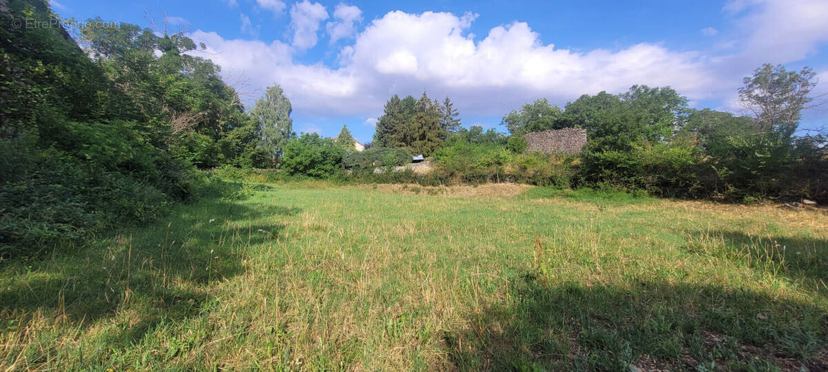 Terrain à SANSSAC-L'EGLISE