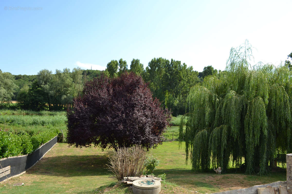 Maison T5 plain pied terrain 2500m2 - photo 4