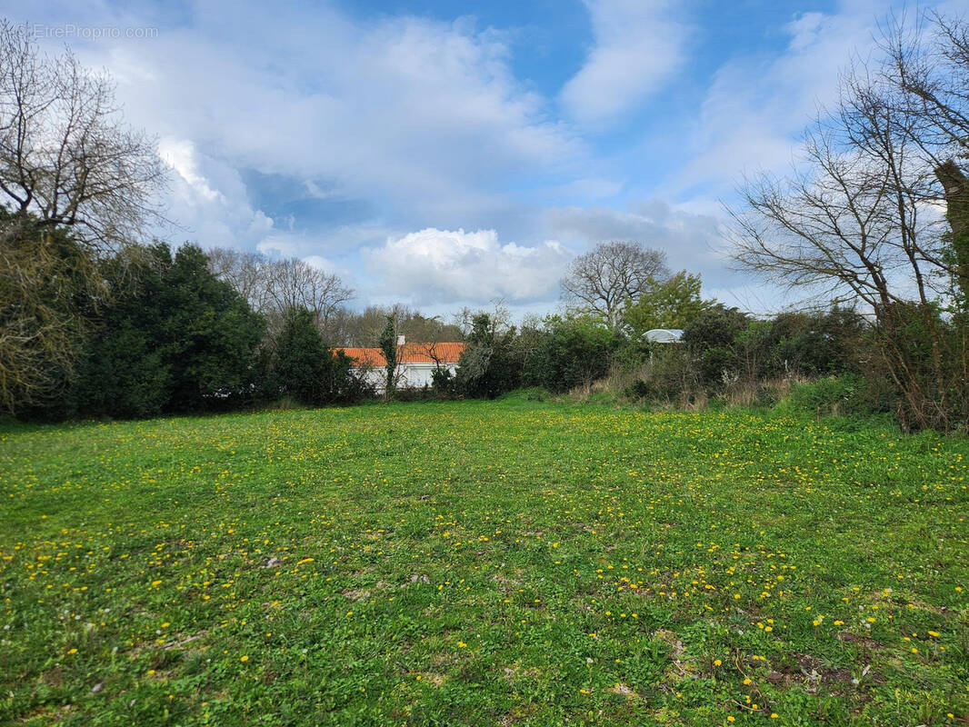 Terrain à SAINT-JEAN-DE-MONTS