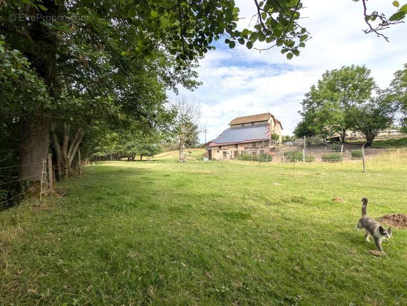 Ancien moulin du xviiie siècle sur plus d'un hectare de terrain – chassigny sous dun (71) - photo 14